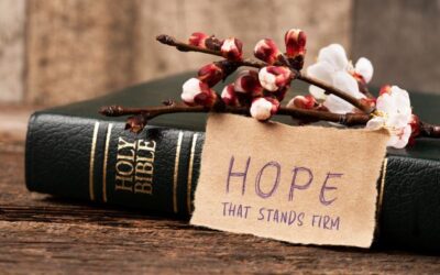 Hope That Stands Firm